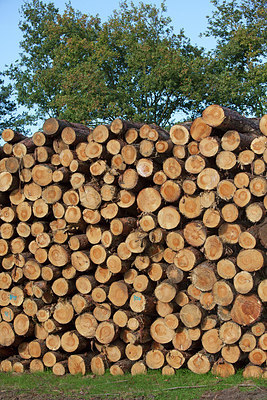 BUITEN BEELD Foto: 219978