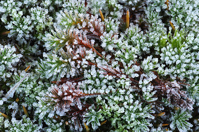 BUITEN BEELD Foto: 220118