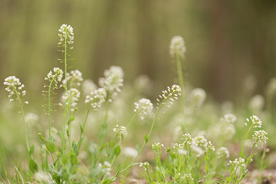 BUITEN BEELD Foto: 220197