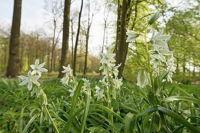 BUITEN BEELD Foto: 220271