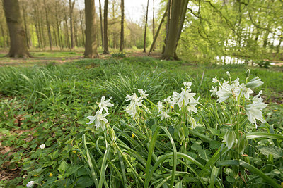 BUITEN BEELD Foto: 220276
