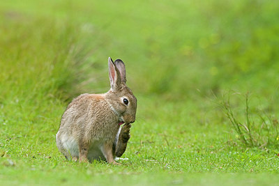 BUITEN BEELD Foto: 220297