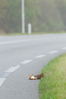 BUITEN BEELD Foto: 220324