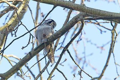 BUITEN BEELD Foto: 220377