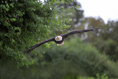 BUITEN BEELD Foto: 220410