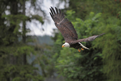 BUITEN BEELD Foto: 220412