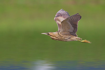 BUITEN BEELD Foto: 220503