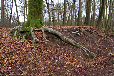 BUITEN BEELD Foto: 220666