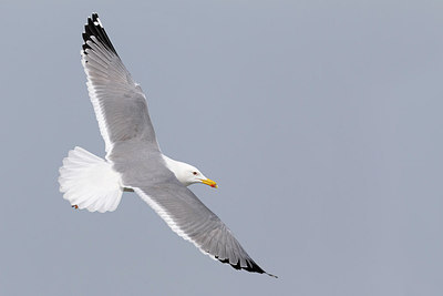 BUITEN BEELD Foto: 220680