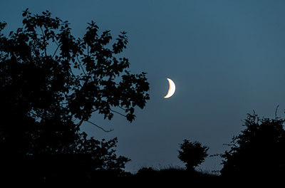 BUITEN BEELD Foto: 220960