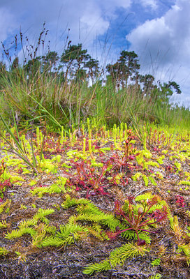 BUITEN BEELD Foto: 220962