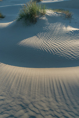 BUITEN BEELD Foto: 220979