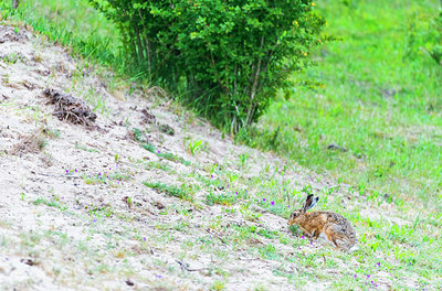 BUITEN BEELD Foto: 221009