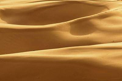 BUITEN BEELD Foto: 221030