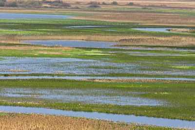 BUITEN BEELD Foto: 221083