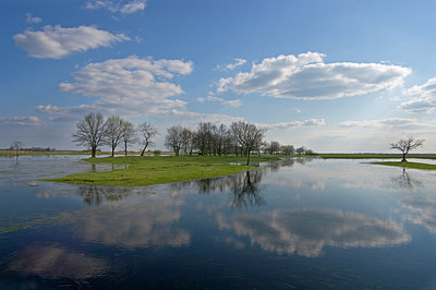 BUITEN BEELD Foto: 221085