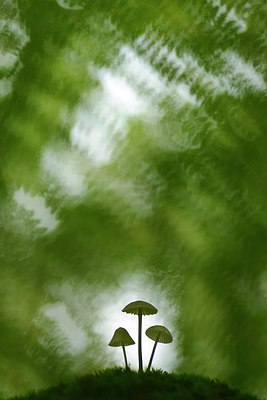 BUITEN BEELD Foto: 221102