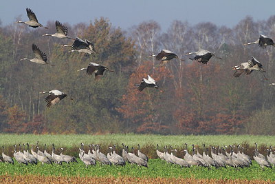BUITEN BEELD Foto: 221204