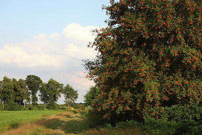 BUITEN BEELD Foto: 221223