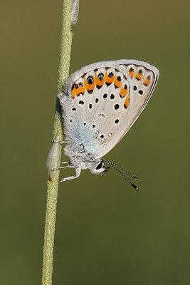 BUITEN BEELD Foto: 221226
