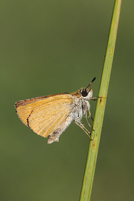 BUITEN BEELD Foto: 221229