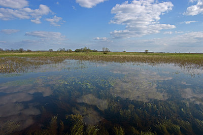 BUITEN BEELD Foto: 221230