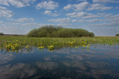 BUITEN BEELD Foto: 221236