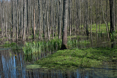 BUITEN BEELD Foto: 221240