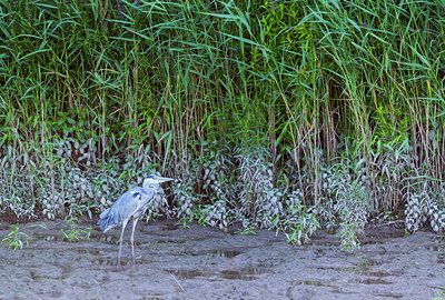 BUITEN BEELD Foto: 221257