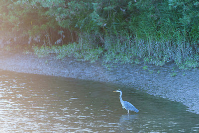 BUITEN BEELD Foto: 221262