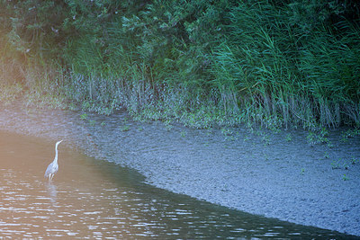 BUITEN BEELD Foto: 221268