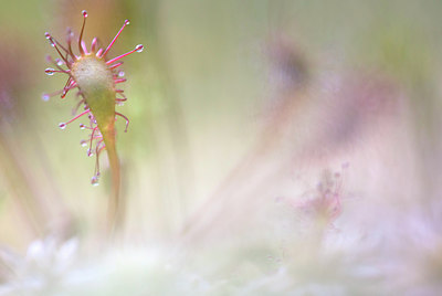 BUITEN BEELD Foto: 221286