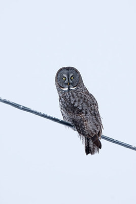 BUITEN BEELD Foto: 221292