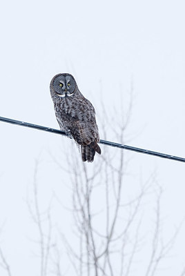 BUITEN BEELD Foto: 221295