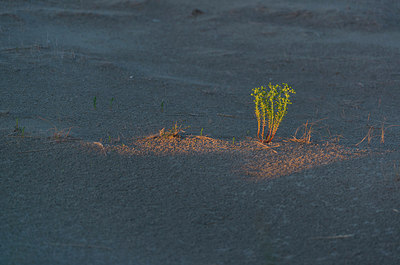 BUITEN BEELD Foto: 221314
