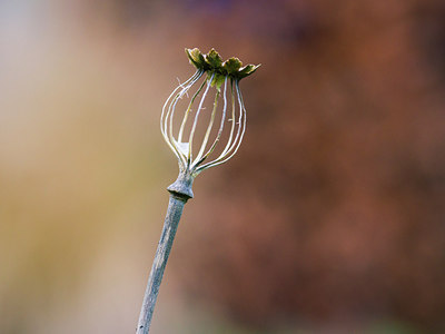BUITEN BEELD Foto: 221680