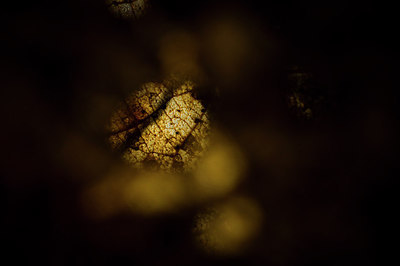 BUITEN BEELD Foto: 221682