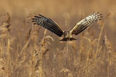 BUITEN BEELD Foto: 221728