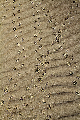 BUITEN BEELD Foto: 221886