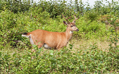 BUITEN BEELD Foto: 221901