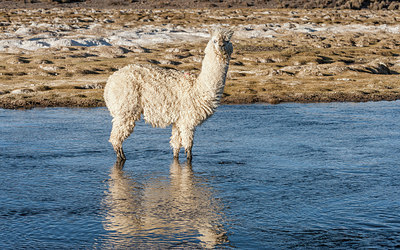 BUITEN BEELD Foto: 221904