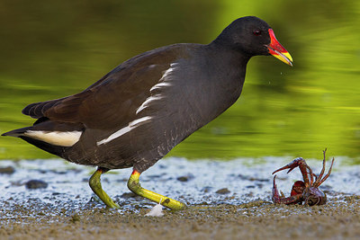 BUITEN BEELD Foto: 222095