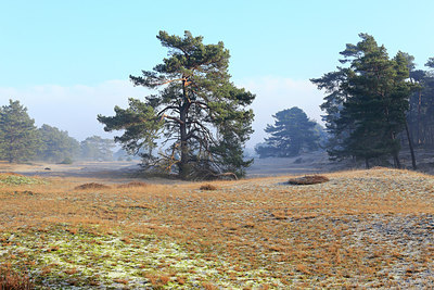 BUITEN BEELD Foto: 222184