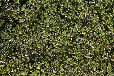 BUITEN BEELD Foto: 222220