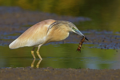 BUITEN BEELD Foto: 222582