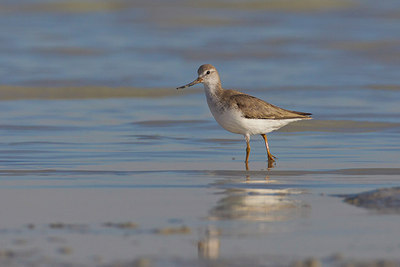 BUITEN BEELD Foto: 222622