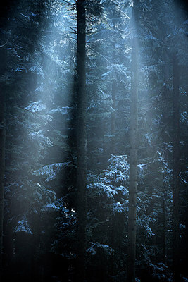 BUITEN BEELD Foto: 222624
