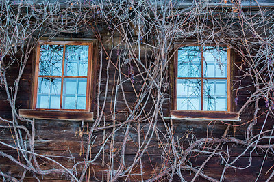 BUITEN BEELD Foto: 222695