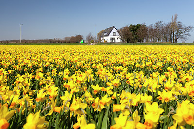 BUITEN BEELD Foto: 222778