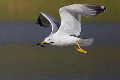 BUITEN BEELD Foto: 222842